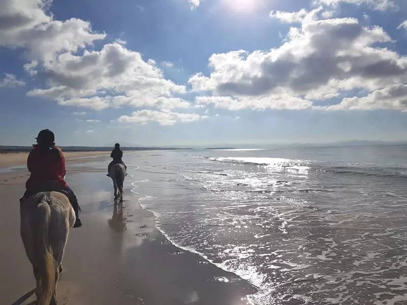 Paseos a Caballo por la Playa de Los Lances