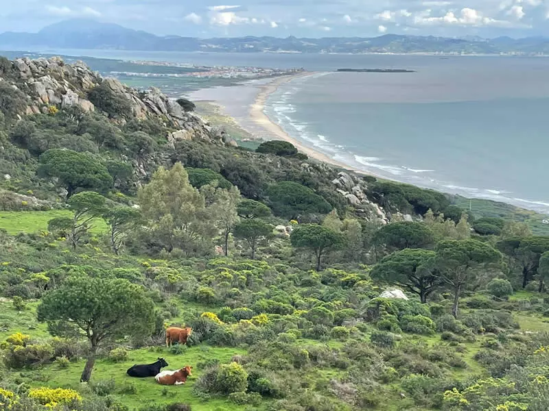 Paseo a La Peña con vistas a Los Lances y Tarifa